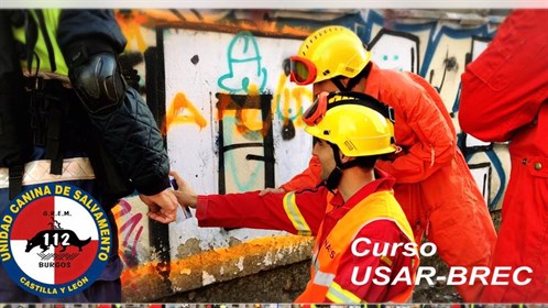Curso USAR-BREC. Búsqueda Rescate Estructuras Colapsadas . Perros De Rescate 112 Castilla Y León.