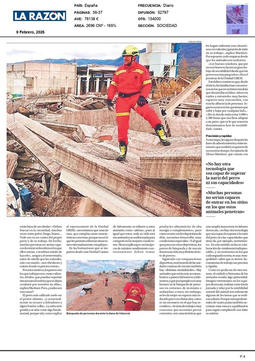 Perros De Busqueda Y Rescate La Razon